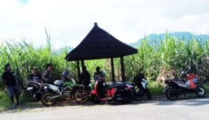 Gelombang Protes Meningkat, Warga Hadang Pekerja PT Damai Suksesindo (DSI) di Akses Masuk Desa Kandangan