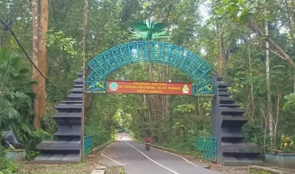 Taman Nasional Alas Purwo Tutup Dua Hari saat Idul Fitri